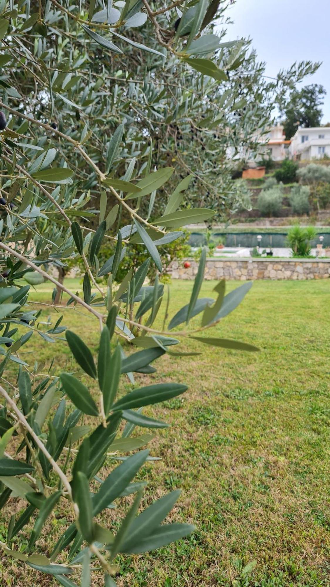 La Hacienda Hotel Ulcinj Buitenkant foto